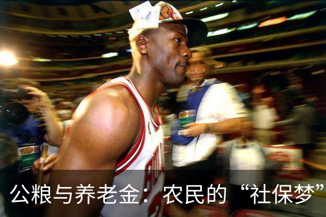 公粮与养老金：农民的“社保梦”有多远？