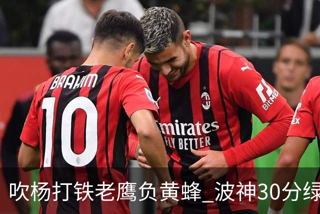 吹杨打铁老鹰负黄蜂 波神30分绿军险胜尼克斯