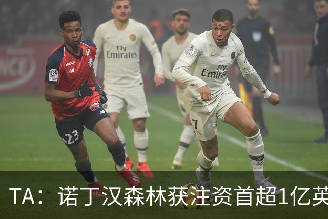 TA：诺丁汉森林获注资首超1亿英镑，上赛季创纪录